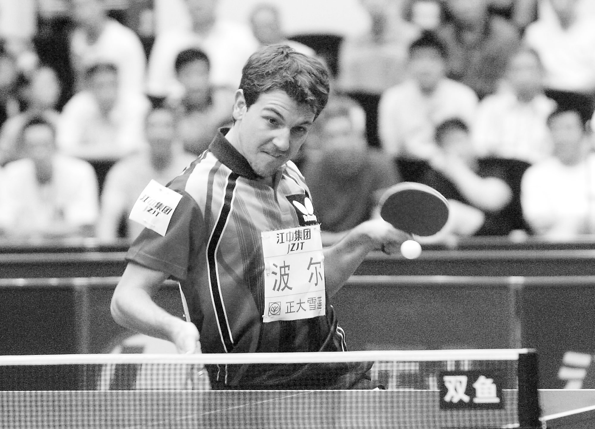 法国乒乓球队力克英国乒乓球队，波尔惊艳世界的简单介绍