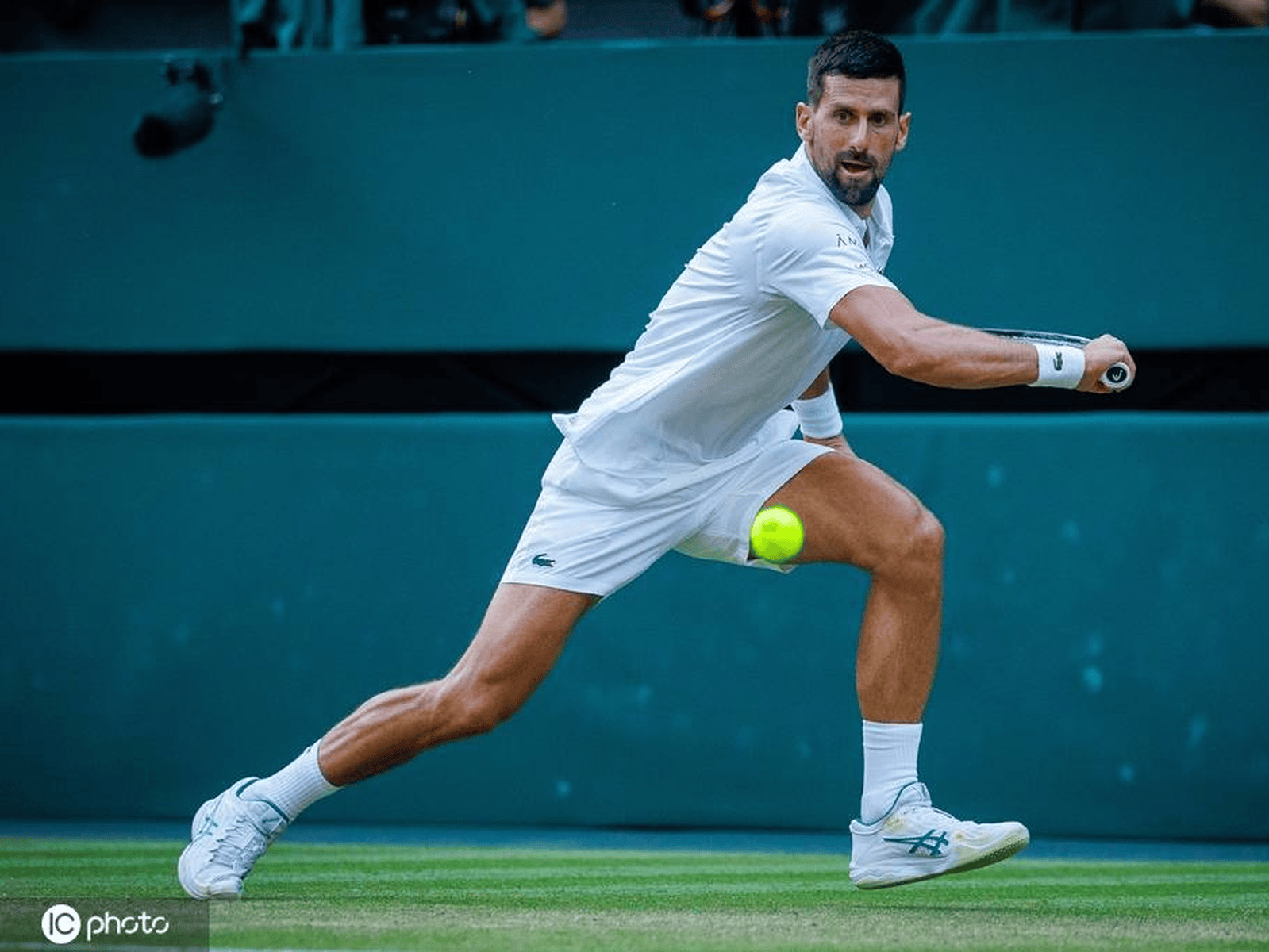 澳大利亚网球队逆转德国网球队,德约科维奇关键制胜的简单介绍 澳大利亚网球队逆转德国网球队,德约科维奇关键制胜的简单介绍