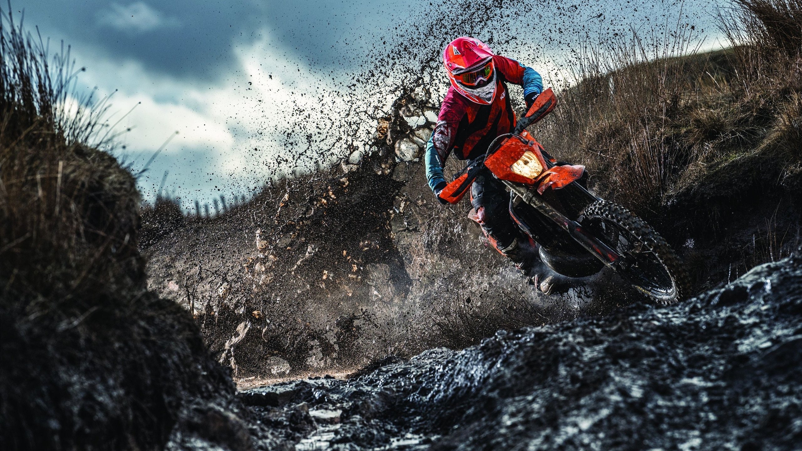 赛道上的逆袭,哈斯鏖战法拉利,汉密尔顿如何统治全场